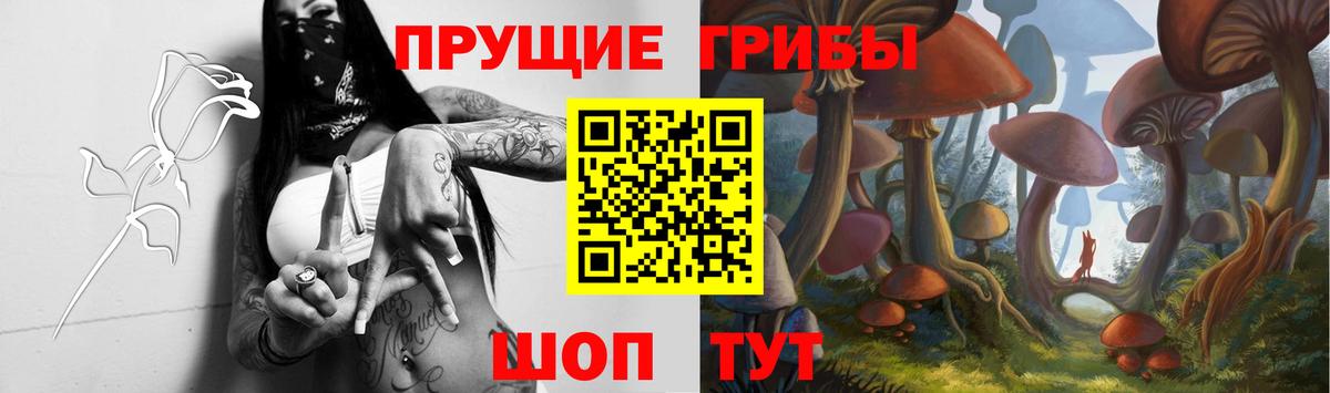 Псилоцибиновые грибы мухоморы Советский